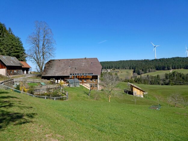 Sommerbergrunde Tennenbronn 6