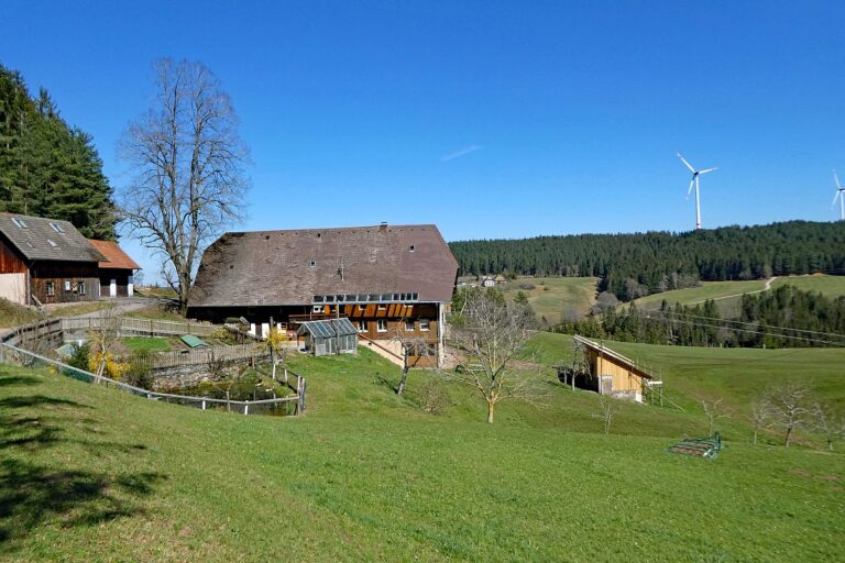 Sommerbergrunde Tennenbronn 6