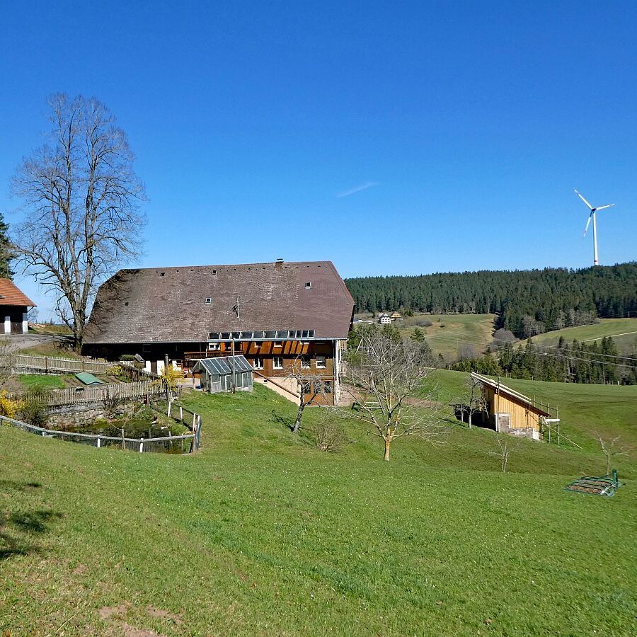 Sommerbergrunde Tennenbronn 6