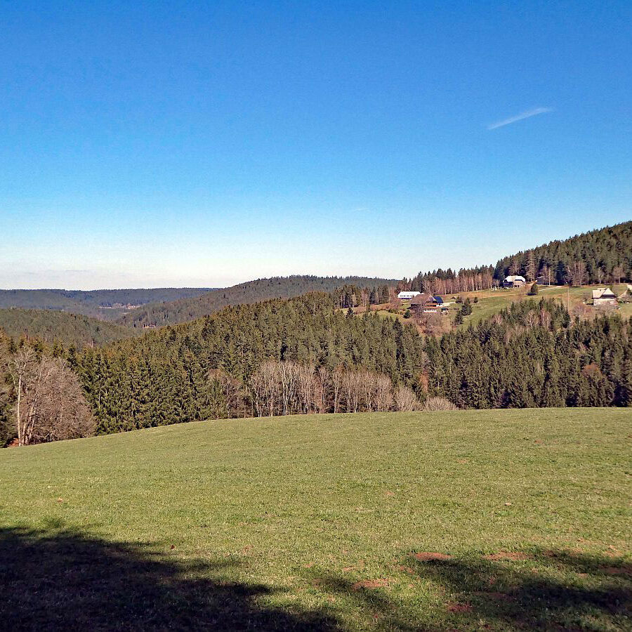 Sommerbergrunde Tennenbronn 7