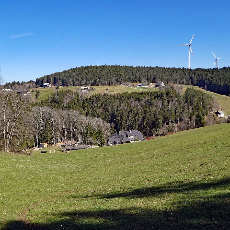 Sommerbergrunde Tennenbronn 8