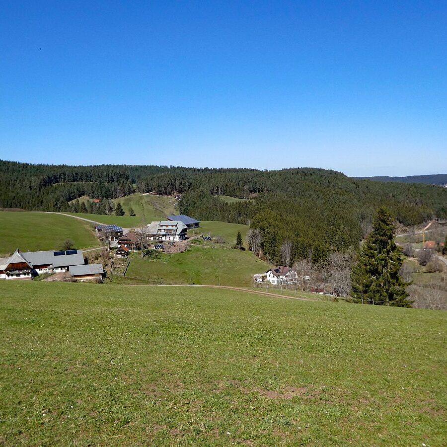 Sommerbergrunde Tennenbronn 9