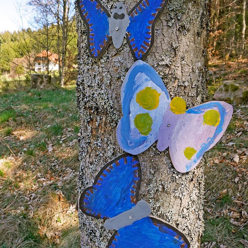 Schmetterlingspfad entsteht 10