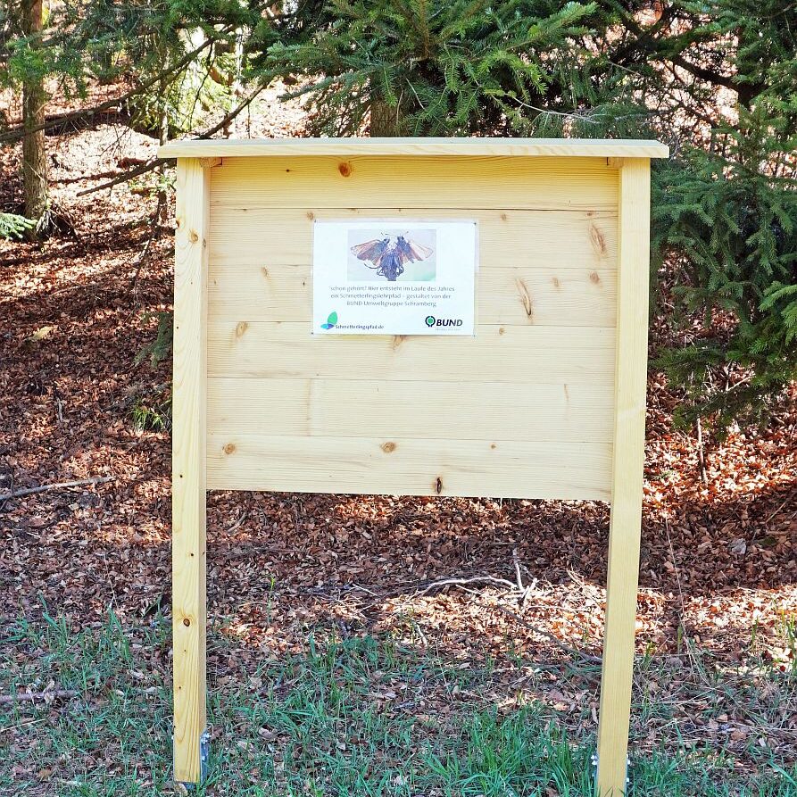 Schmetterlingspfad entsteht 2