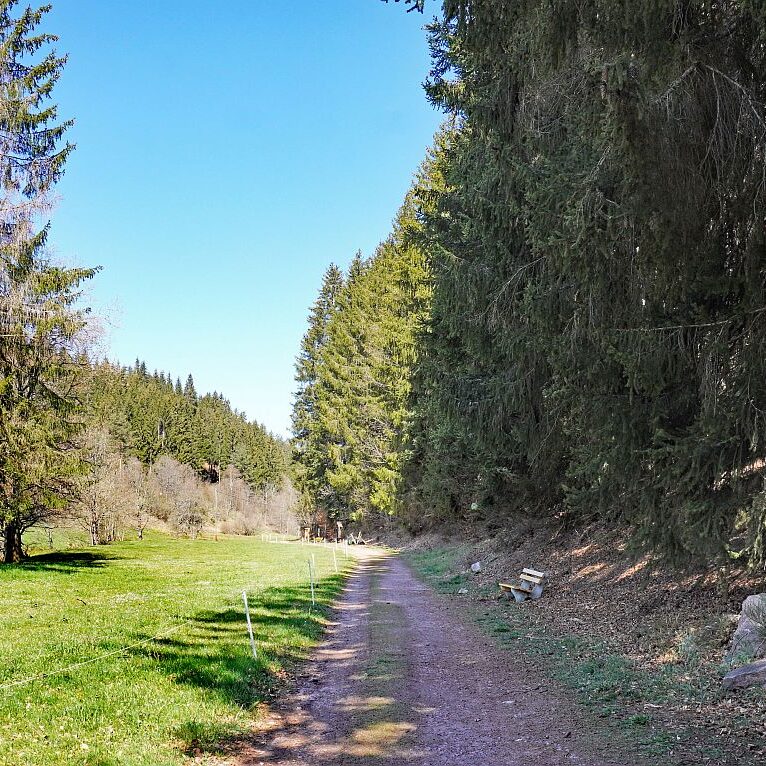 Schmetterlingspfad entsteht 4