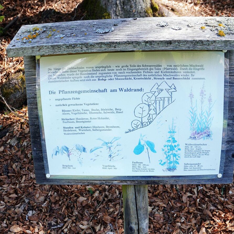 Schmetterlingspfad entsteht 5