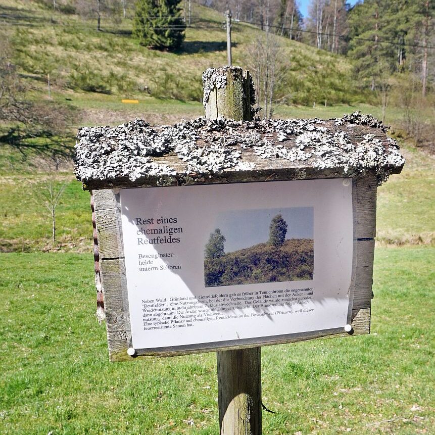 Schmetterlingspfad entsteht 6