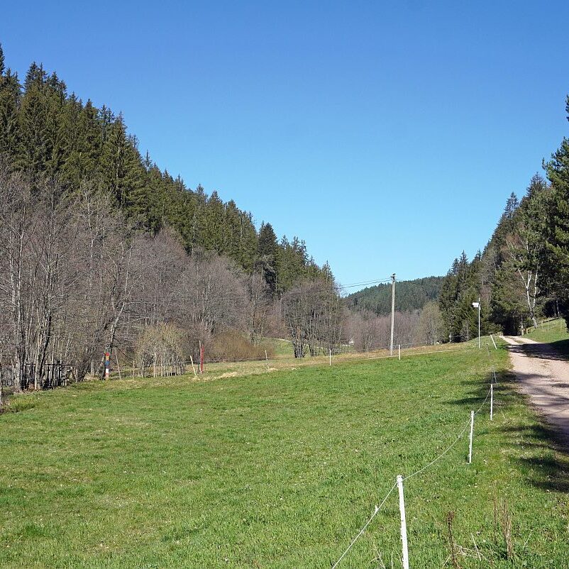 Schmetterlingspfad entsteht 8