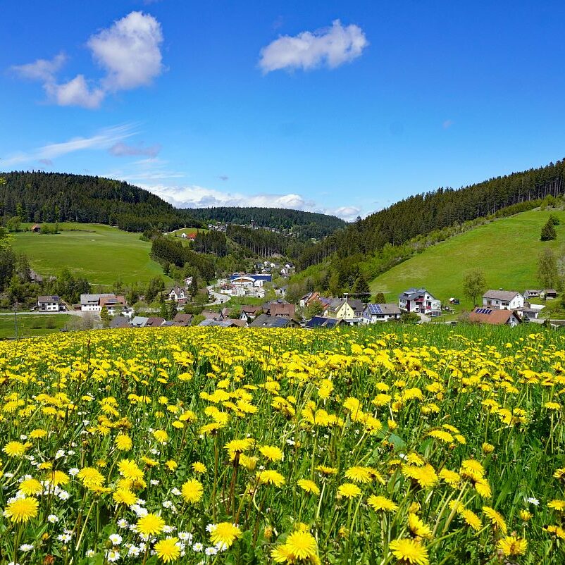 Tennenbronn Grenzwanderung Langenschiltach 1 1