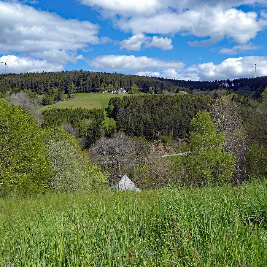 Tennenbronn Grenzwanderung Langenschiltach 12 1