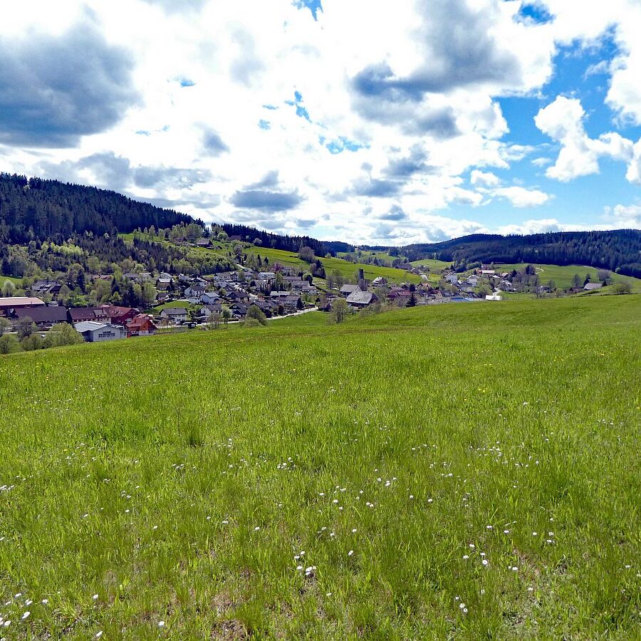 Tennenbronn Grenzwanderung Langenschiltach 14 1