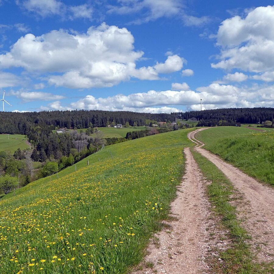 Tennenbronn Grenzwanderung Langenschiltach 17 1