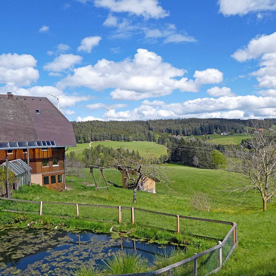 Tennenbronn Grenzwanderung Langenschiltach 18 1