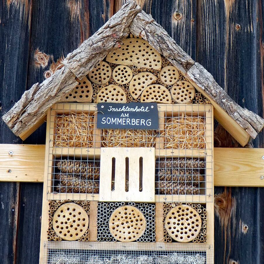 Tennenbronn Grenzwanderung Langenschiltach 19