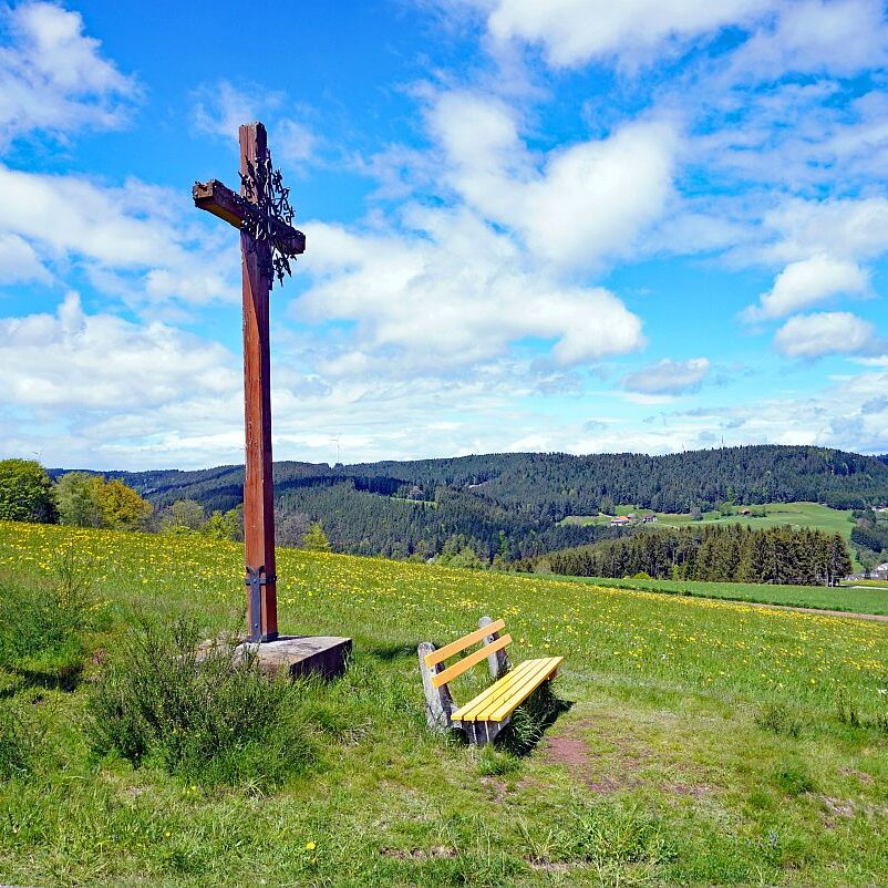 Tennenbronn Grenzwanderung Langenschiltach 2 1