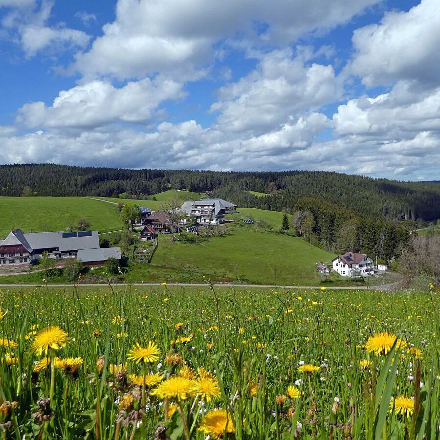 Tennenbronn Grenzwanderung Langenschiltach 23 1