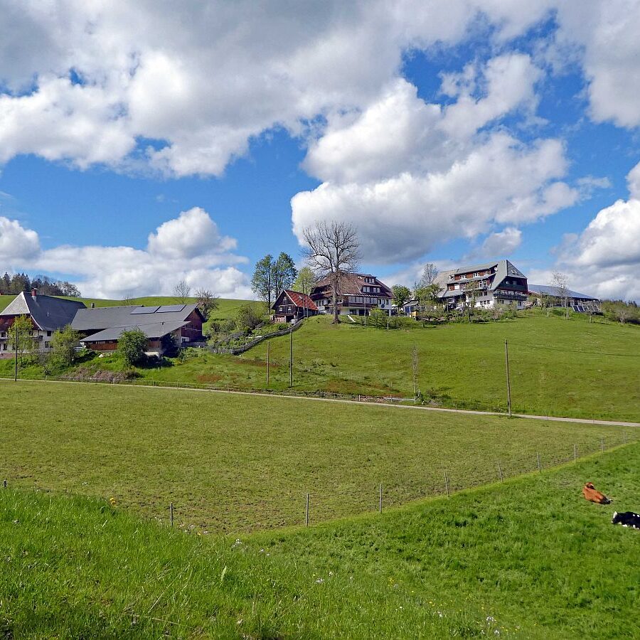 Tennenbronn Grenzwanderung Langenschiltach 24