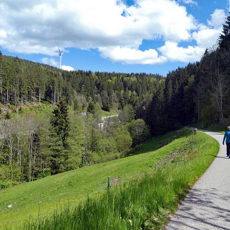 Tennenbronn Grenzwanderung Langenschiltach 25