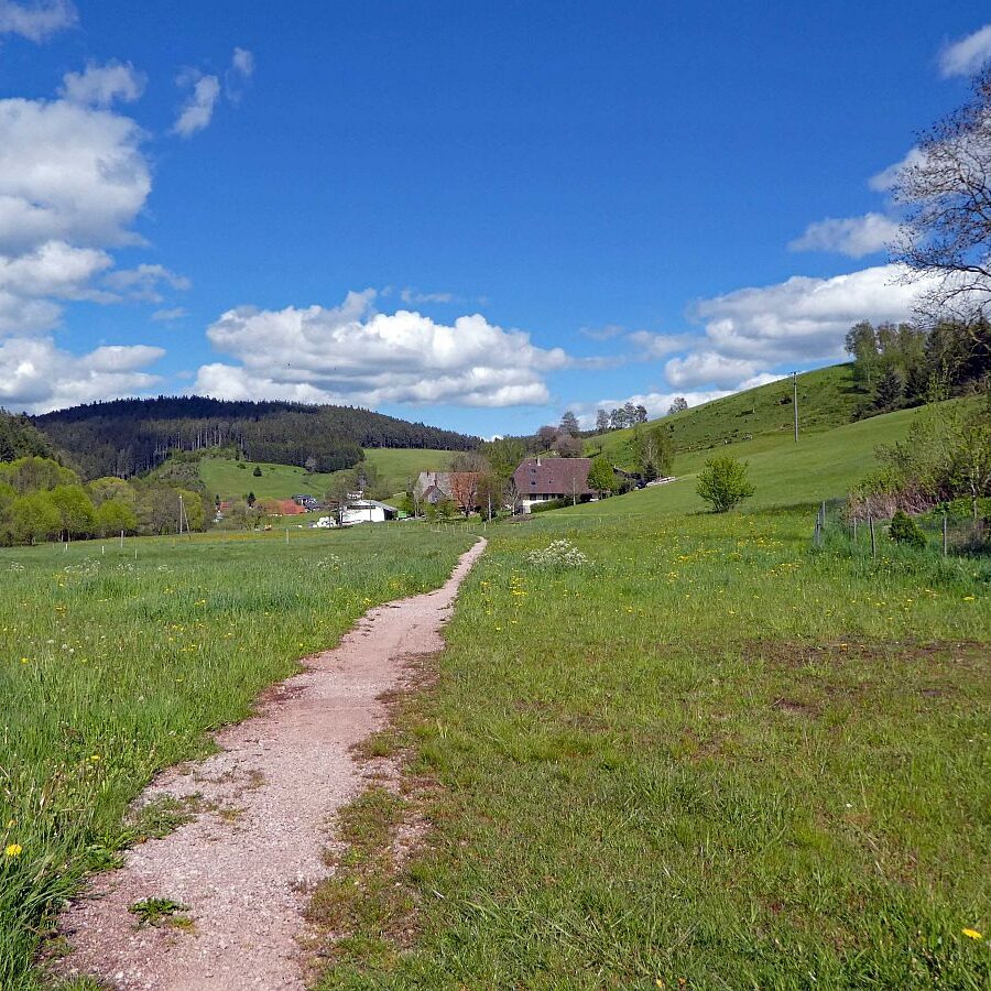 Tennenbronn Grenzwanderung Langenschiltach 27 1