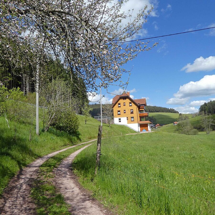 Tennenbronn Grenzwanderung Langenschiltach 28