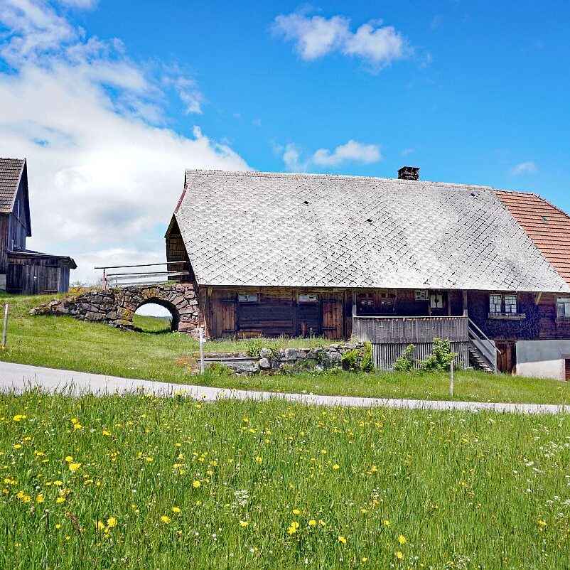Tennenbronn Grenzwanderung Langenschiltach 3