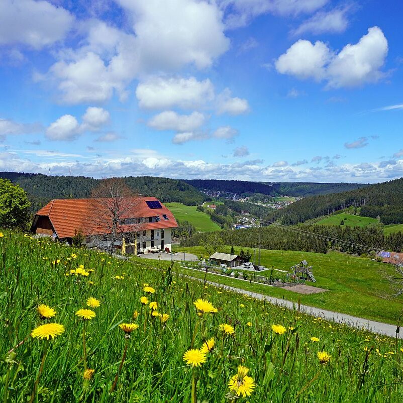 Tennenbronn Grenzwanderung Langenschiltach 4 1