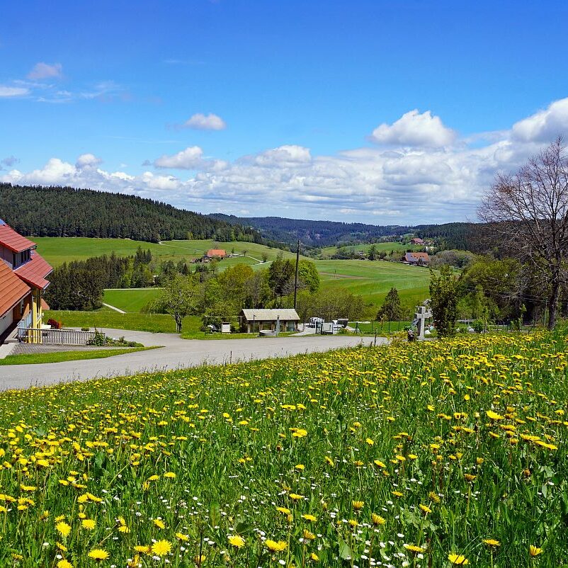 Tennenbronn Grenzwanderung Langenschiltach 5