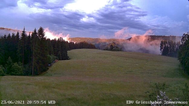 23.06.2021 Sommermoos 1