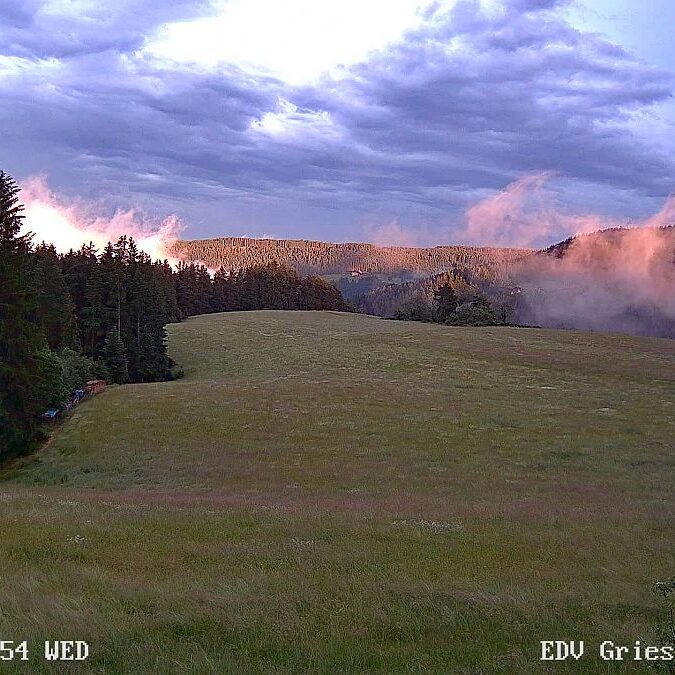 23.06.2021 Sommermoos 1