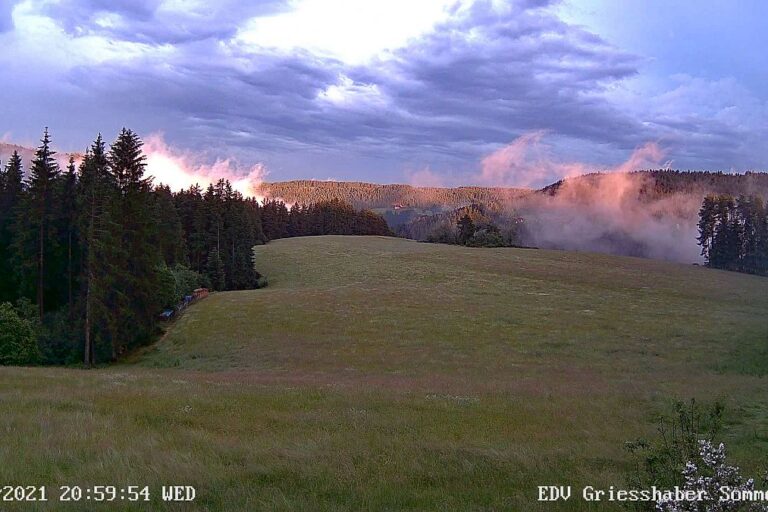 23.06.2021 Sommermoos 1