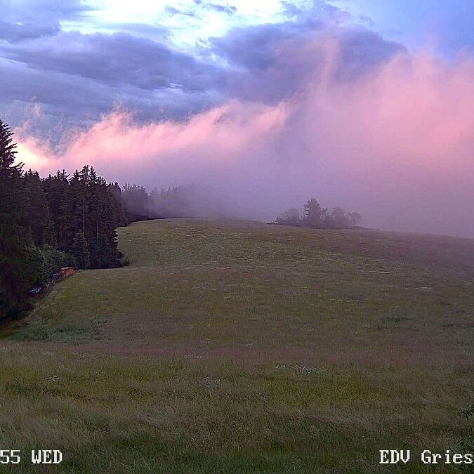 23.06.2021 Sommermoos 2