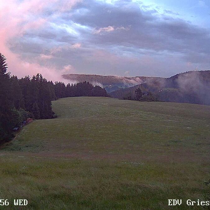 23.06.2021 Sommermoos 3