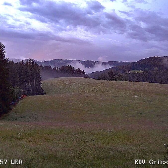 23.06.2021 Sommermoos 4