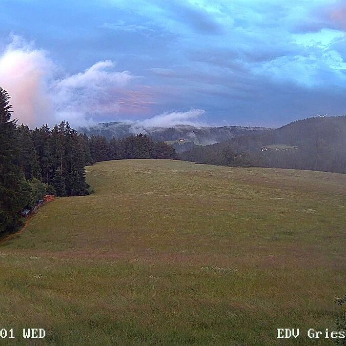 23.06.2021 Sommermoos 5