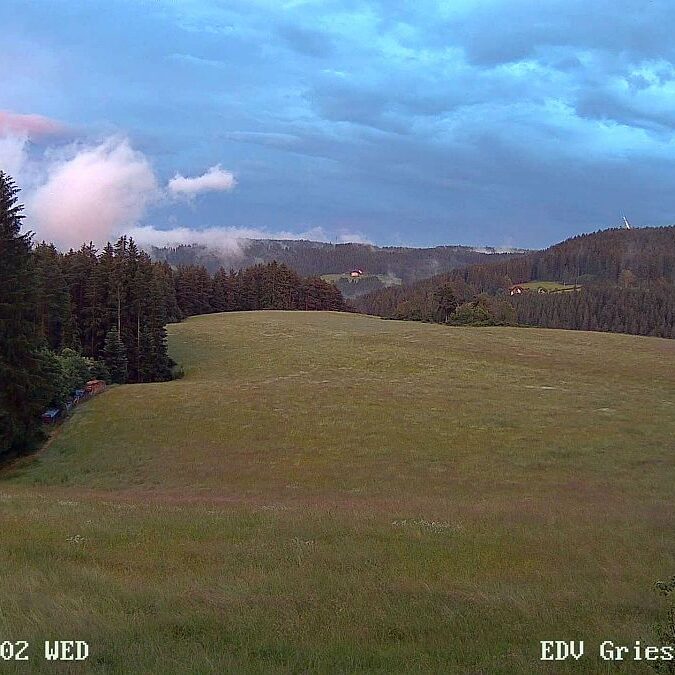 23.06.2021 Sommermoos 6