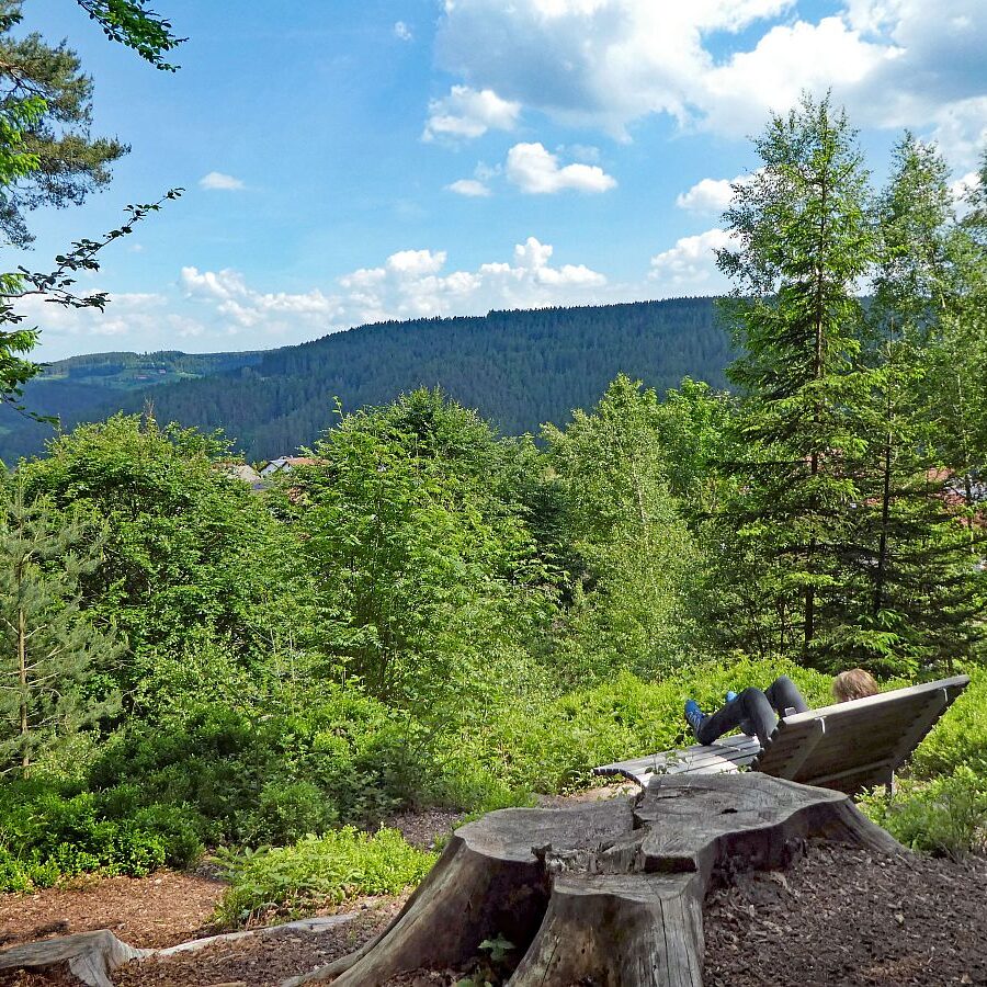 Auerhahnweg Tennenbronn 10
