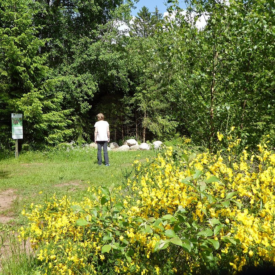 Auerhahnweg Tennenbronn 5