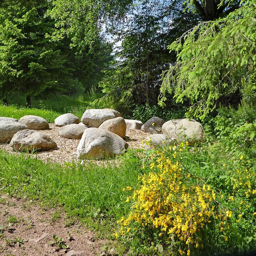 Auerhahnweg Tennenbronn 6