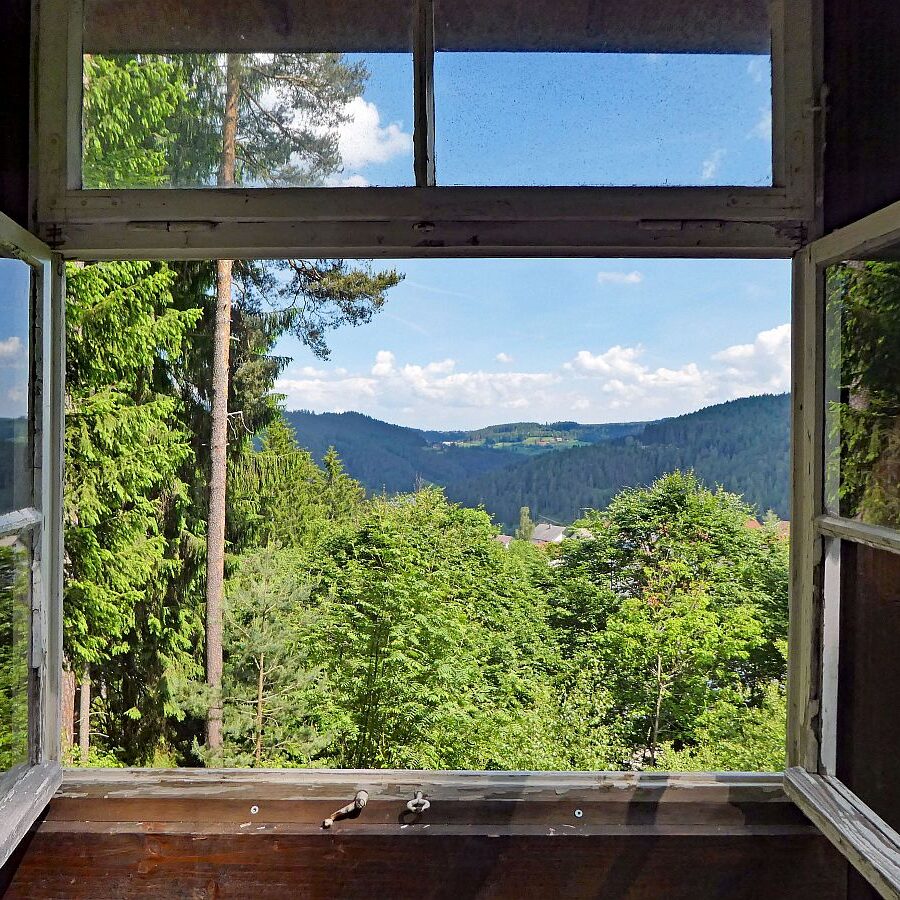 Auerhahnweg Tennenbronn 7