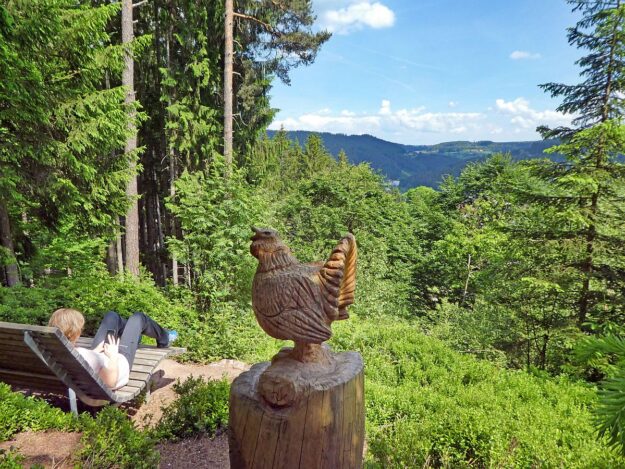 Auerhahnweg Tennenbronn 8