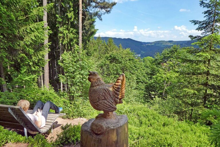 Auerhahnweg Tennenbronn 8