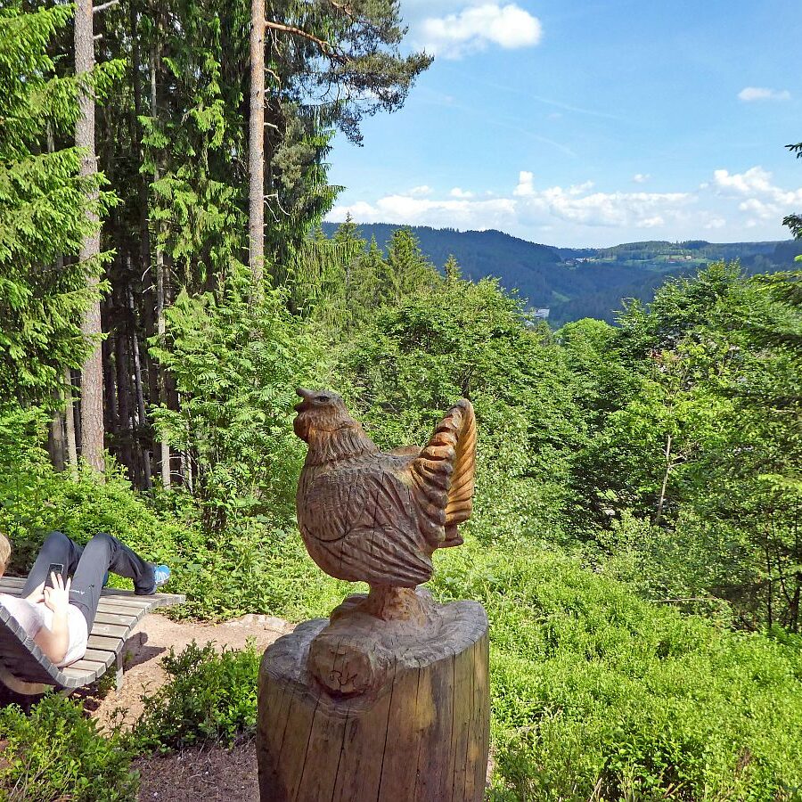 Auerhahnweg Tennenbronn 8