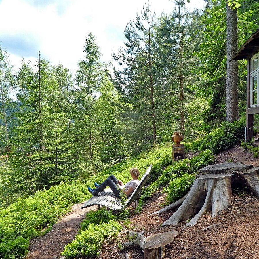 Auerhahnweg Tennenbronn 9
