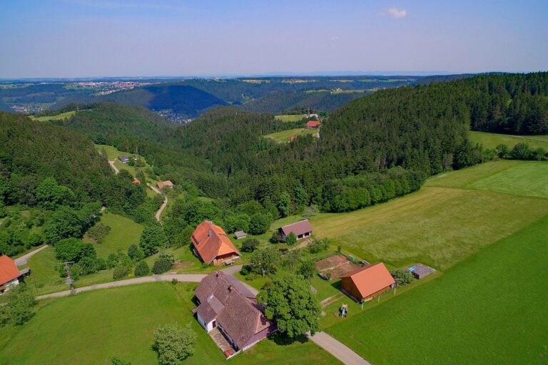 Tennenbronn im Schwarzwald Wandern, Aussicht, Wetter, Aktuelles