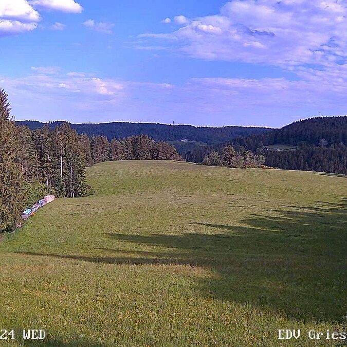 Webcam Sommermoos 11