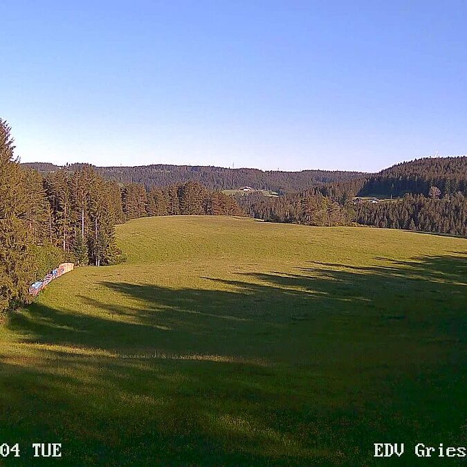 Webcam Sommermoos 12