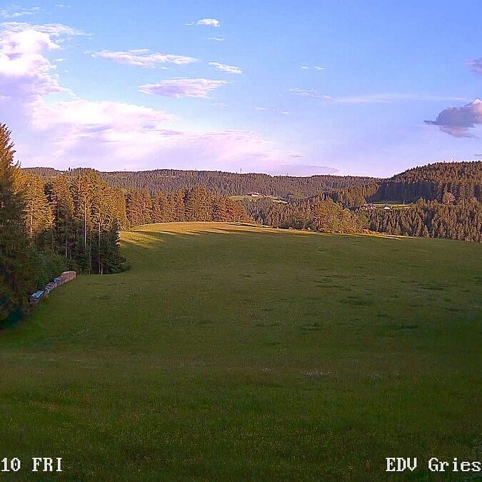 Webcam Sommermoos 13