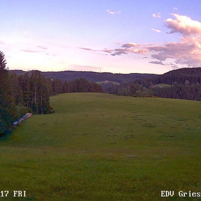 Webcam Sommermoos 14