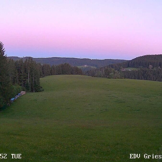 Webcam Sommermoos 16