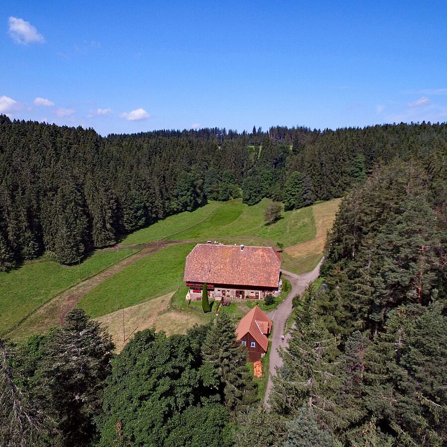 01 Der Oberbauernhof in Tennenbronn 9